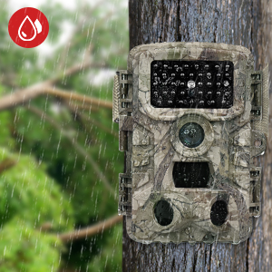 outdoor wildlife camera