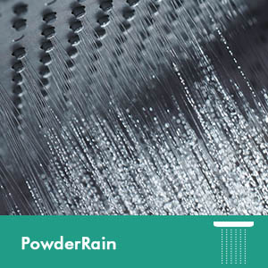 Spray face overhead shower