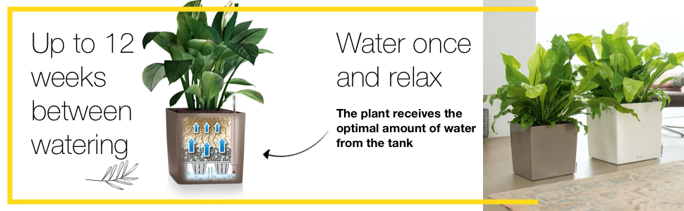 Cube Premium flower pot