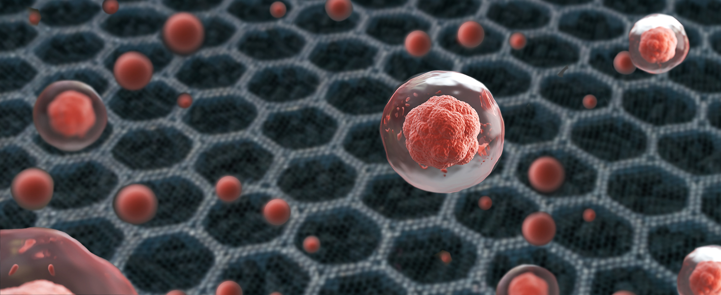 Activated Carbon Filter