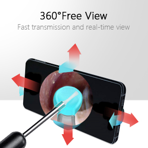 360°Free View