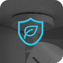 Lighter on the Earth