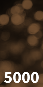 5000 series, header