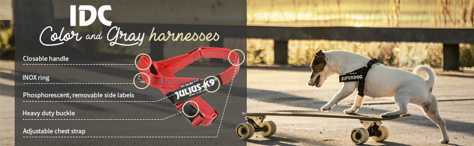 Color & Gray, K9, Julius-K9, harness, belt, dog, walk, summer, summer harness, premium, quality, 