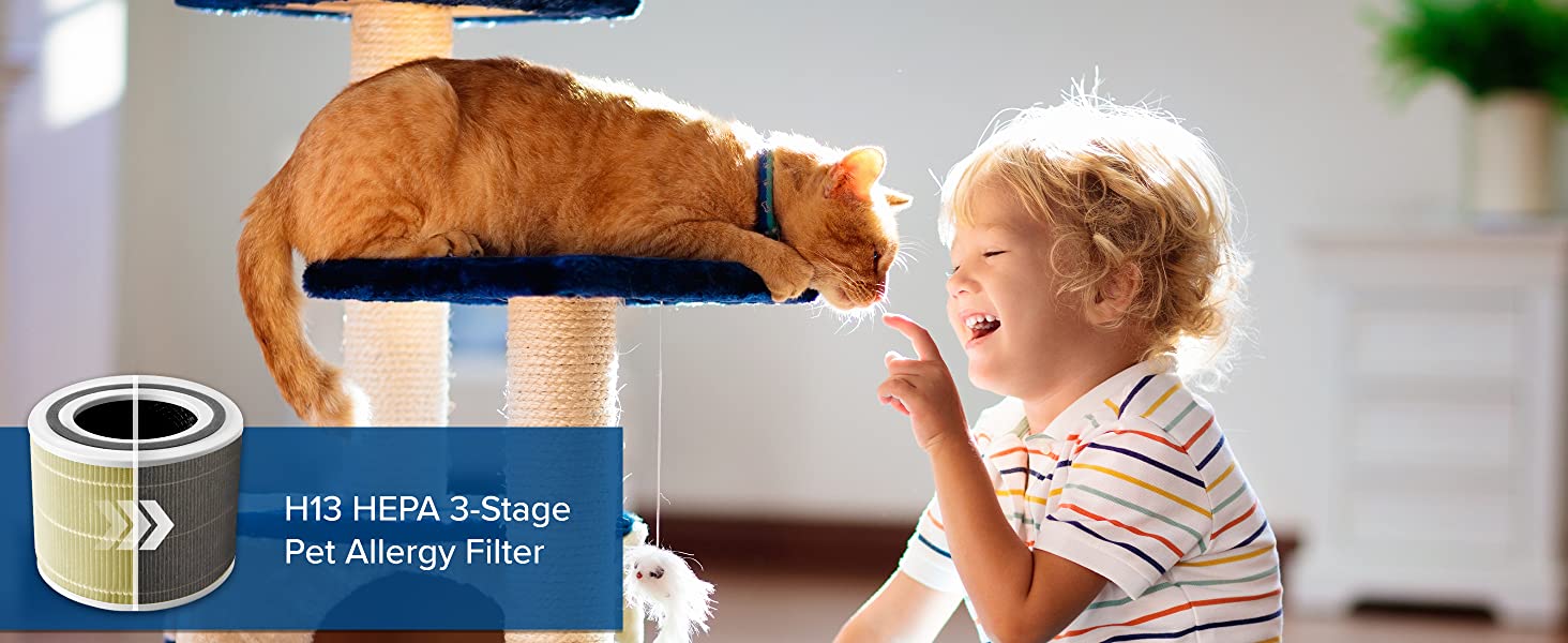 Pet Allergy Filter
