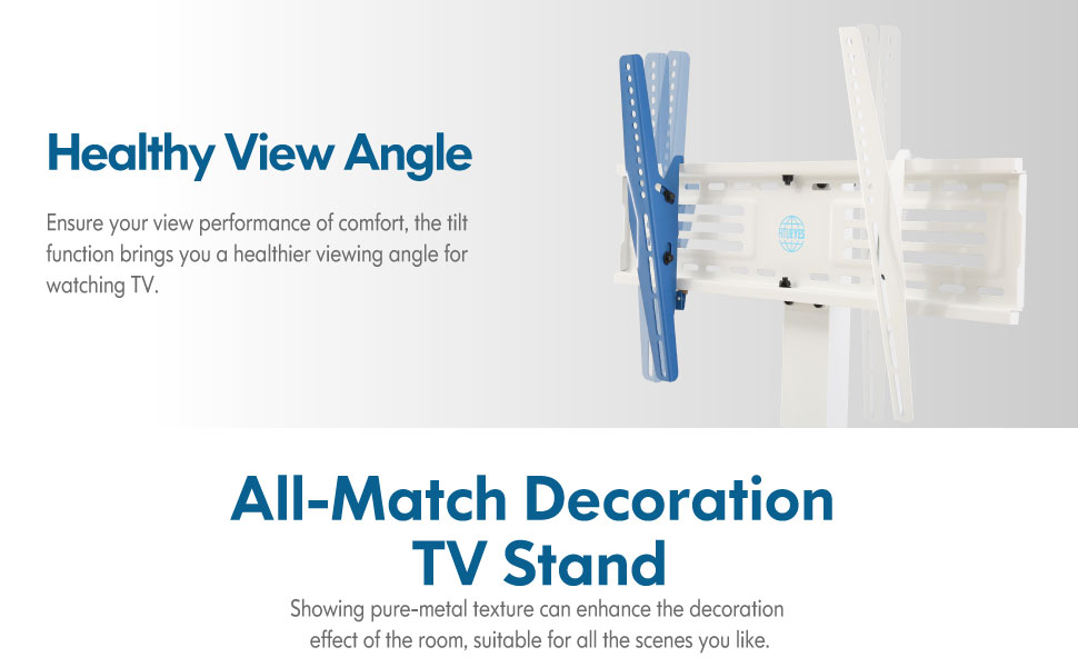 TV Stand with mount