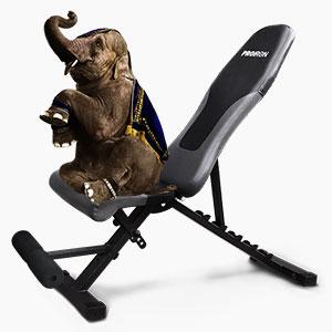 Triangular structure design.