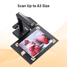 document scanner