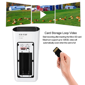 CARD STORAGE LOOP VIDEO