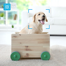 Dog Pet Camera Indoor