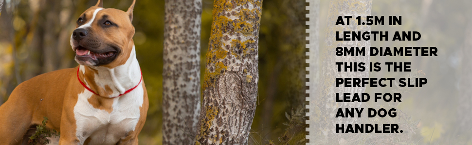 Dog & Field Deluxe Gundog Slip Lead