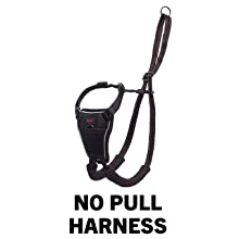 halti no pull harness