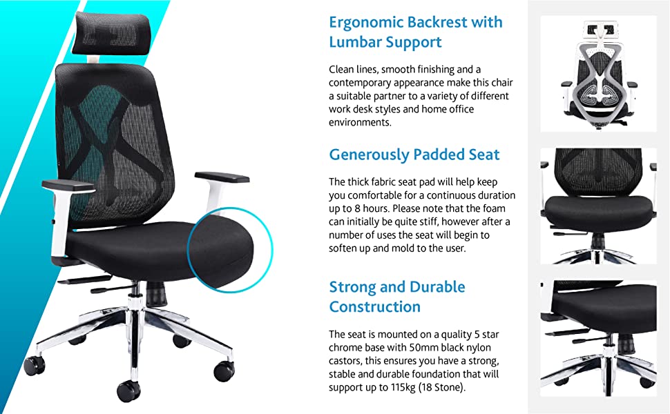 ergonomic desk chair with lumbar support