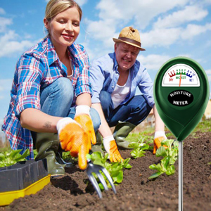 soil test
