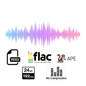 WiFi Bluetooth Audio Music Streamer Receiver Arylic S10 Airplay DLNA UPnP Multi-Room Sync Spotify 