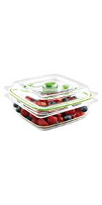 Vacuum sealer,domesetic sealing,sealer,foodsaver,sous vide,sous-vide,fishing machine