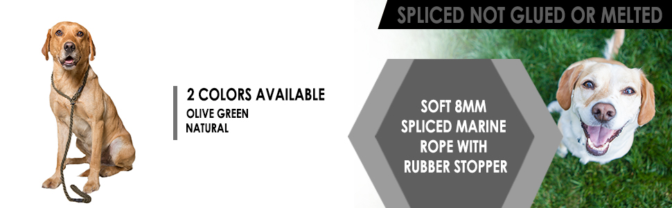 Suitable For All Breeds of Dog with 2 Colour Options