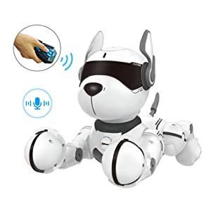 fun, educational, ring, space, robotic, animal, sony, wowwee, zoomer, technology, adult, ai,electric