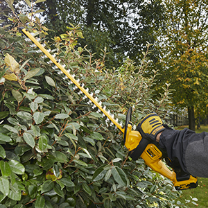 hedge trimmer
