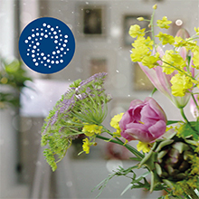 Auto air purification