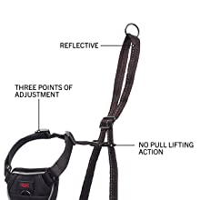 halti no pull harness