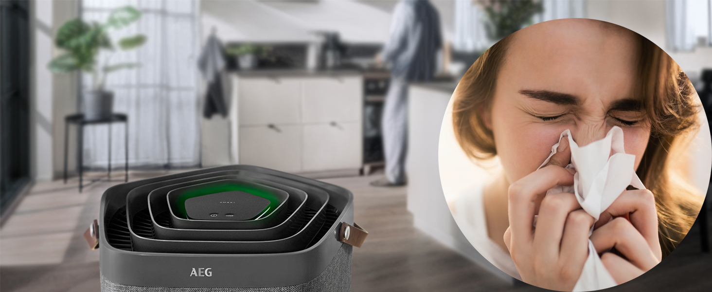 AX91-404GY,Air Purifier,AEG