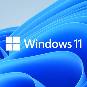 win 11