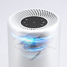 air purifier for allergies dust pets smokers