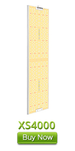 XS4000 4000w led grow light