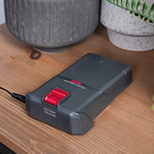 H-Free 100 Pets Battery