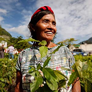 Contributing to global actions on climate change