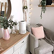 air purifier for allergies dust pets smokers