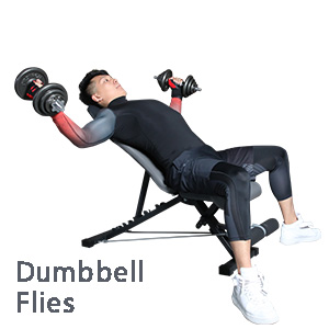 Plegable Banco de Pesas Ajustables