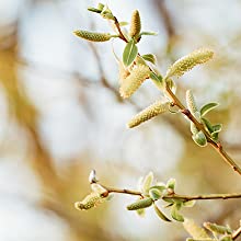 The Vista 200’s small size and sleek design allow it to blend into any room in the house.