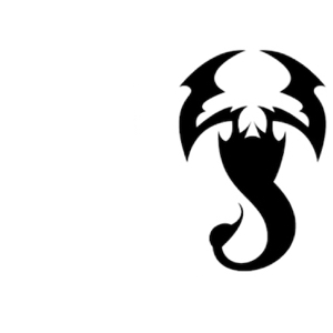 storeyourboard outdoor sports storage solutions company brand bike kayak ski snow SUP cargo USA surf