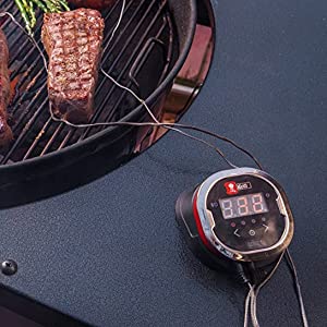 iGrill 2