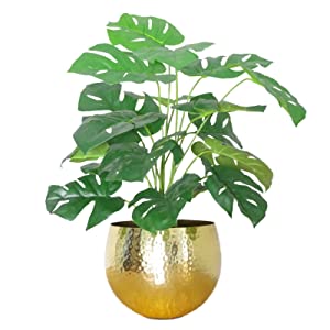 artificial plant