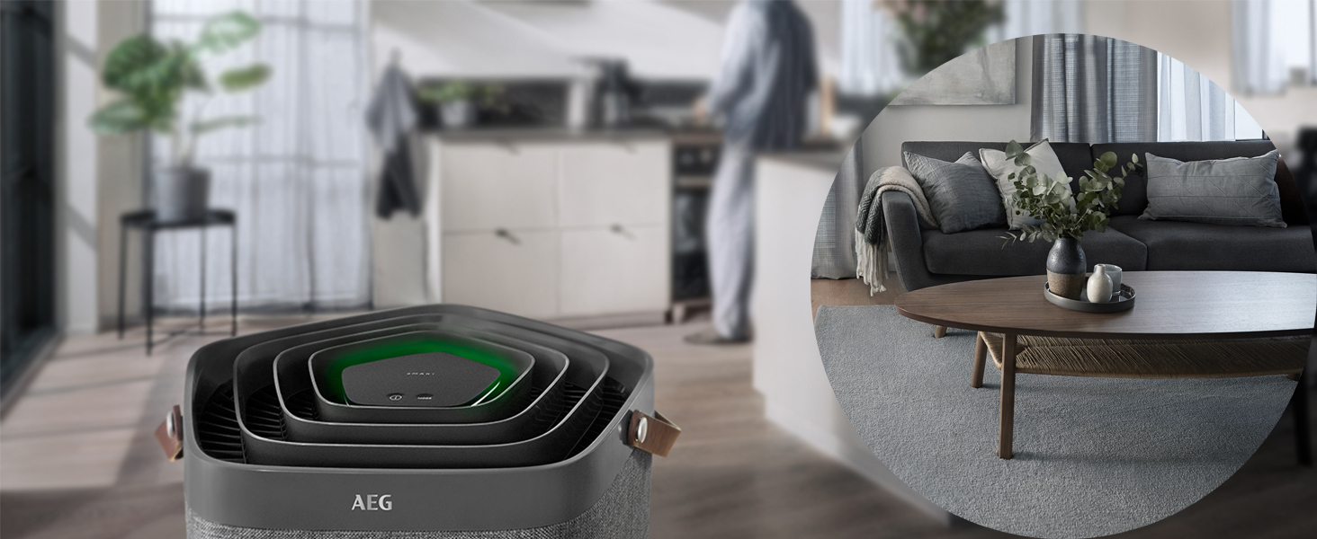 AX91-404GY,Air Purifier,AEG