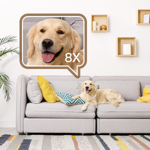 IN1 pets camera for dogs and cats