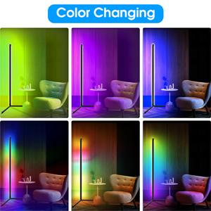 Fortand LED Floor Lamp