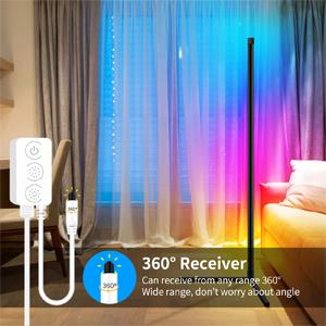 Fortand LED Floor Lamp