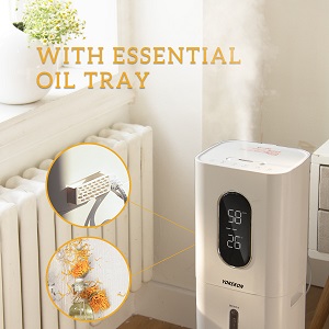 plateau d'huiles essentielles