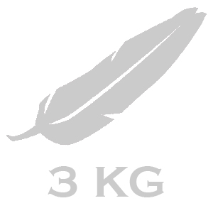 BIKESTAR 2-in-1 growing frame balance bike 10 inch lightrunner, metal (3 KG!)