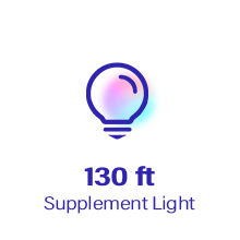 130 ft Supplement Light