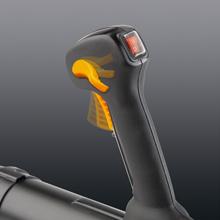Crusie control and variable speed trigger