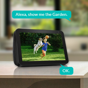 Works with Alexa