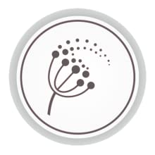 pollen