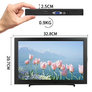portable small monitor
