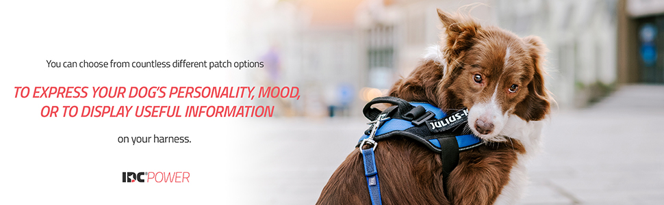 IDC Power, K9, Julius-K9, dog harness, control, comfort, IDC,