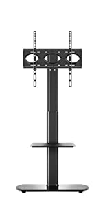 TV Floor Stand